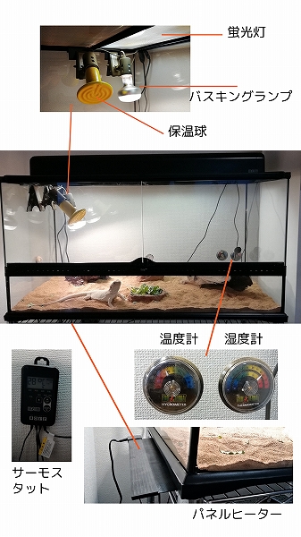 フトアゴヒゲトカゲの環境器具